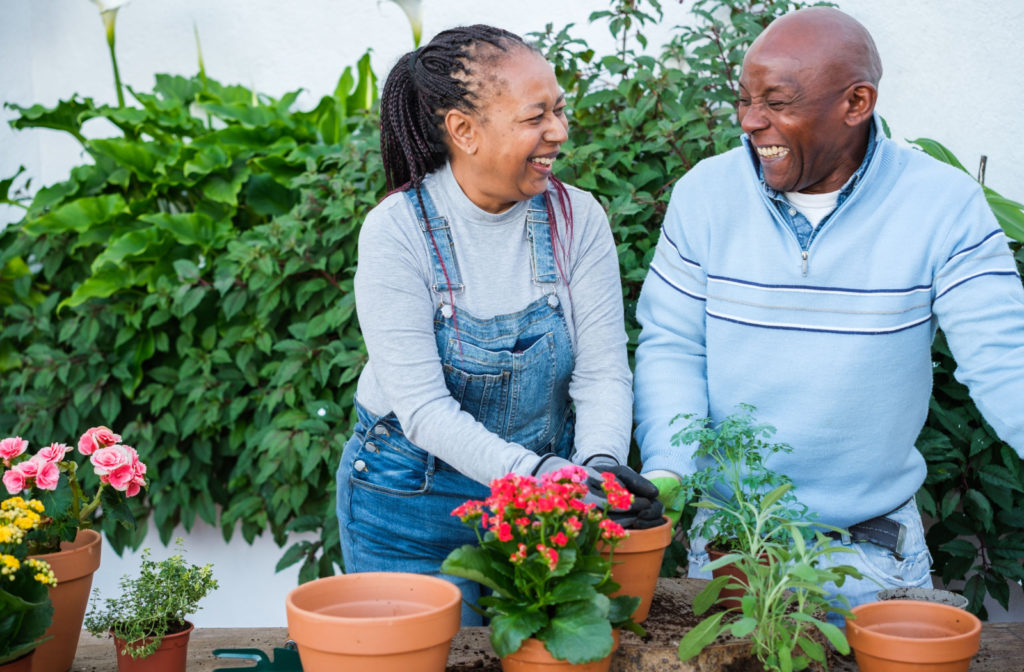 A senior man and a senior woman smiling while gardening outside